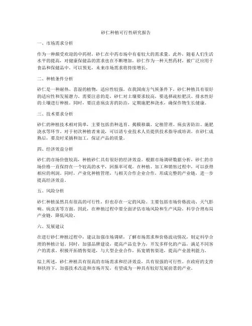 砂仁种植可行性研究报告