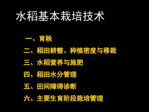 水稻基本栽培技术