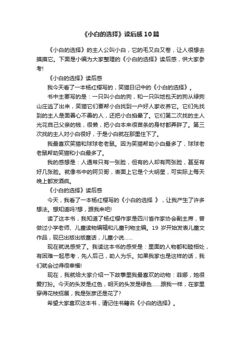 《小白的选择》读后感10篇