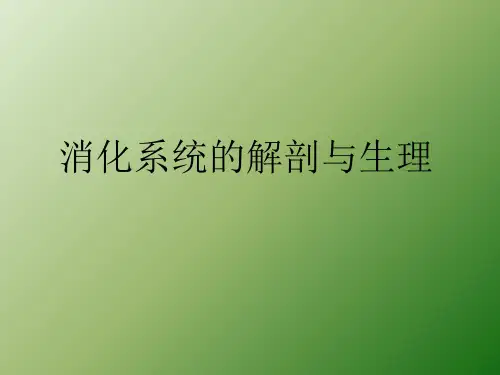 消化系统解剖生理ppt课件