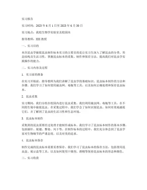 昆虫学捕捉昆虫制作标本实习报告