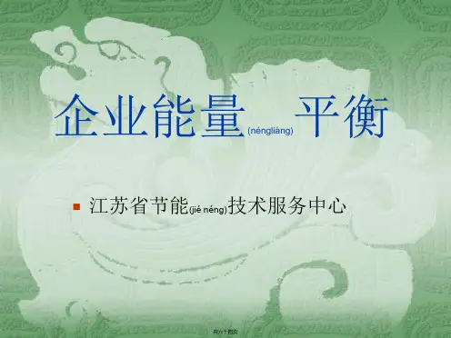 企业能量平衡
