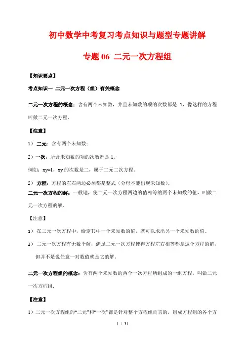 初中数学中考复习考点知识与题型专题讲解06 二元一次方程组(解析版)