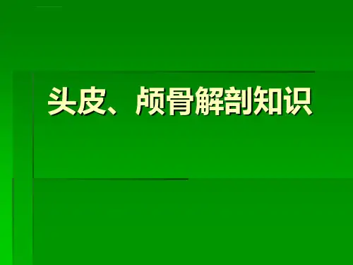 神经外科手术入路设计ppt课件.ppt