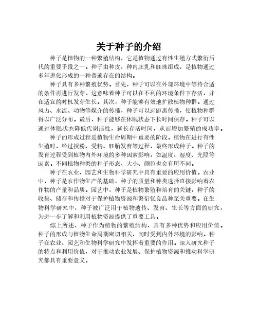 关于种子的介绍