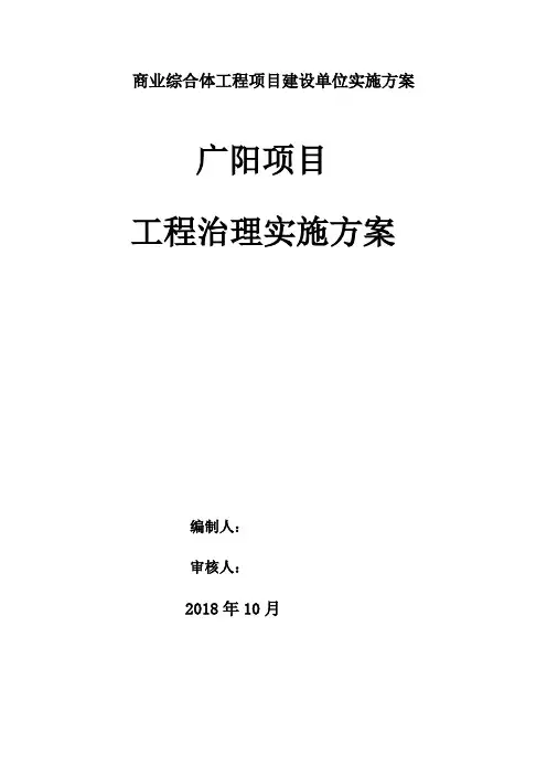 商业综合体工程项目建设单位实施方案