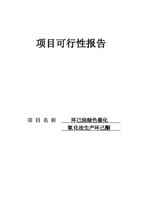 环己烷绿色催化氧化法生产环己酮 项目可行性报告.doc