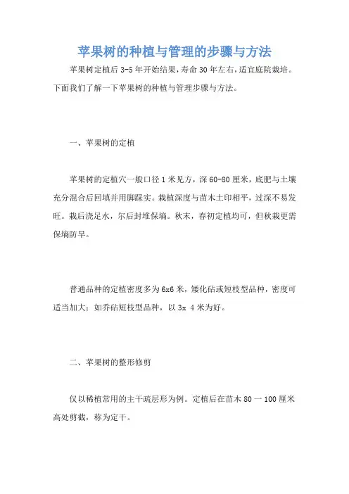 苹果树的种植与管理的步骤与方法