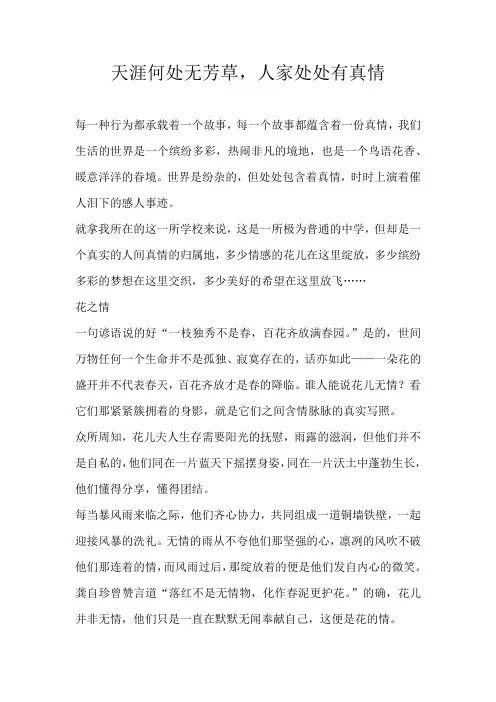 初三散文天涯何处无芳草，人家处处有真情
