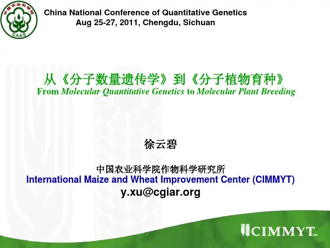徐云碧-从分子数量遗传学到分子植物育种