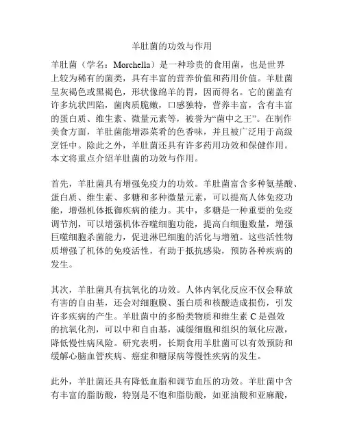 羊肚菌的功效与作用