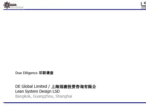 上海某投资咨询公司尽职调查(ppt 62页)