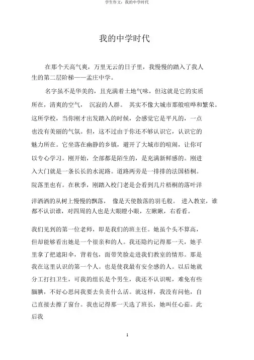 学生作文：我的中学时代