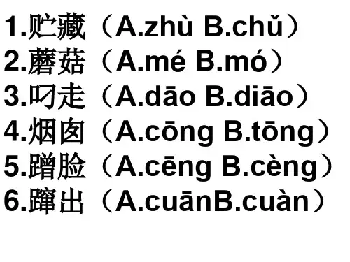 22跑进家来的松鼠1