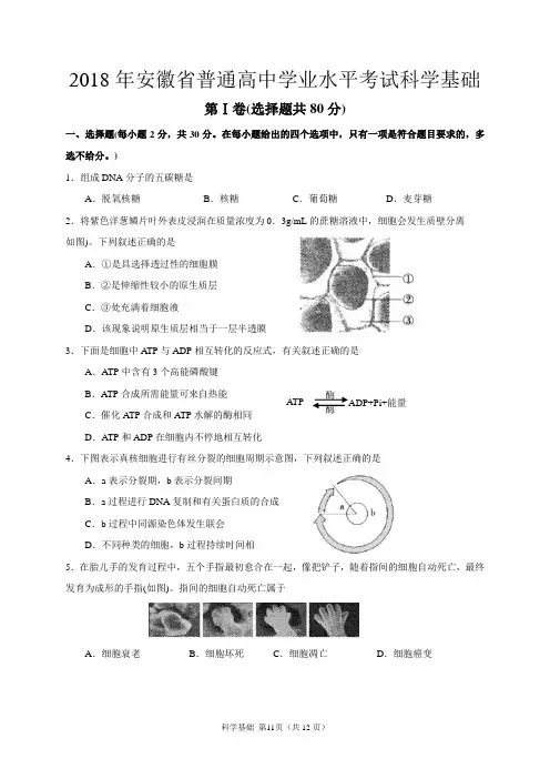 2018年安徽省普通高中学业水平考试科学基础(三科全)