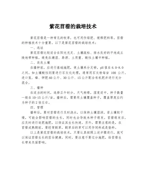 紫花苜蓿的栽培技术