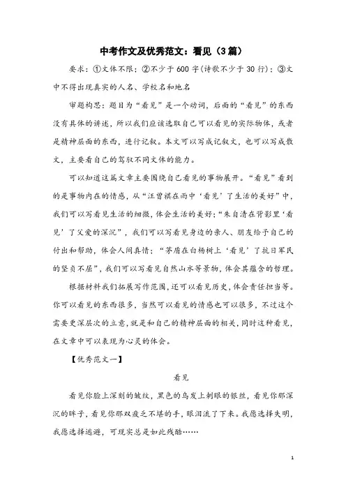 中考作文及优秀范文：看见(3篇)