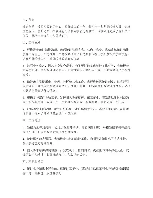 基层统计人员个人工作总结