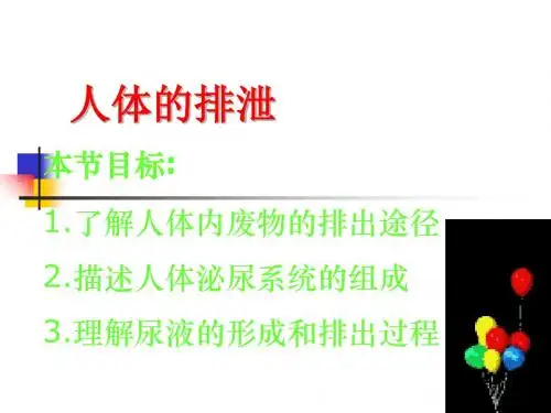 人体的排泄 PPT课件 人教版