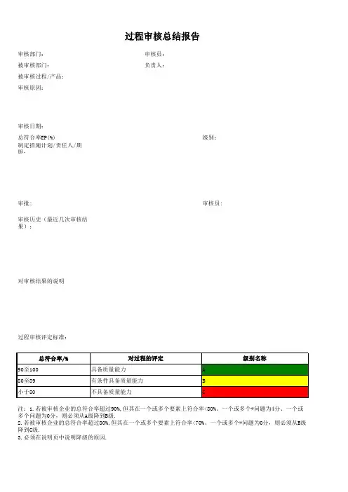 过程审核总结报告