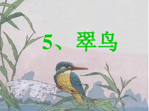 三年级下册语文第五课翠鸟