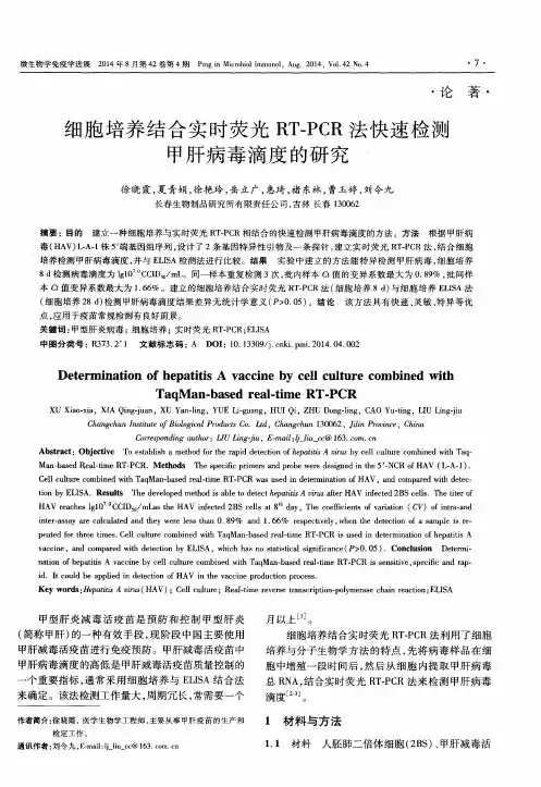 细胞培养结合实时荧光RT-PCR法快速检测甲肝病毒滴度的研究