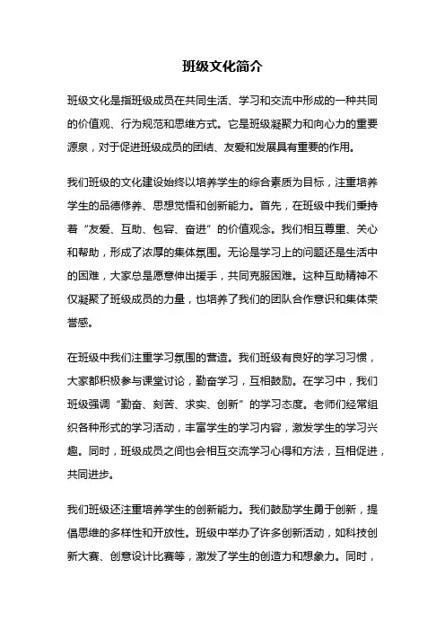 班级文化简介