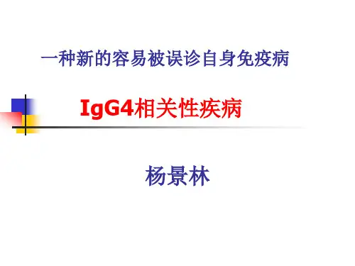 Ig G相关性疾病ppt课件