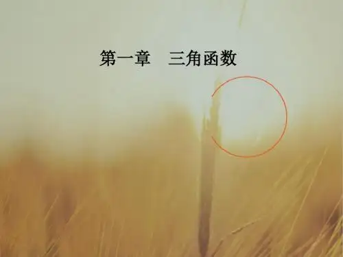 2017-2018学年人教A版高中数学必修四课件：第一章1-4-