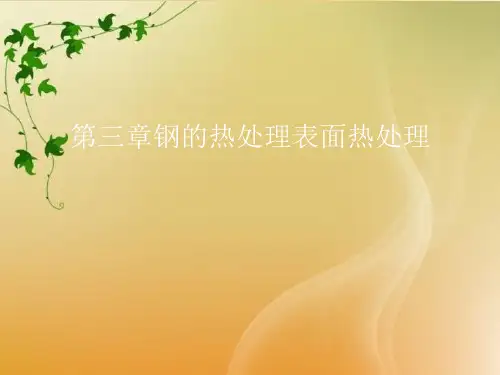 钢的热处理表面热处理【共48张PPT】