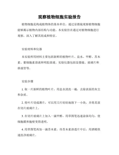 观察植物细胞实验报告