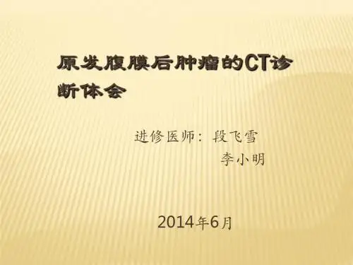 腹膜后原发肿瘤CTppt课件