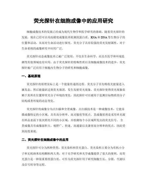 荧光探针在细胞成像中的应用研究