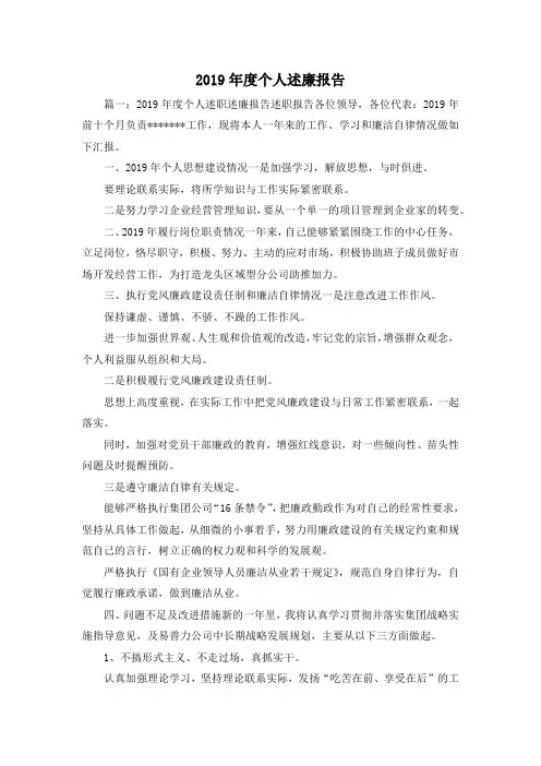 工作报告-2019年度个人述廉报告 精品 精品 精品