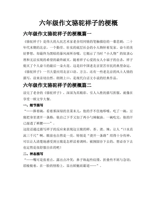 六年级作文骆驼祥子的梗概