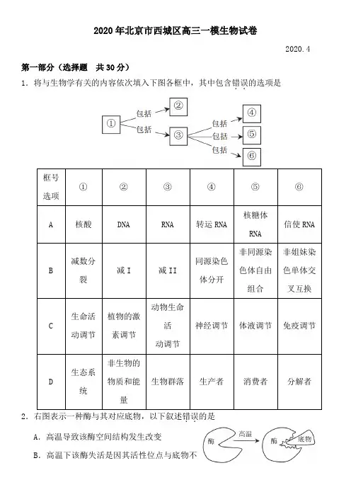 2020年北京市西城区高三一模生物试卷+答案