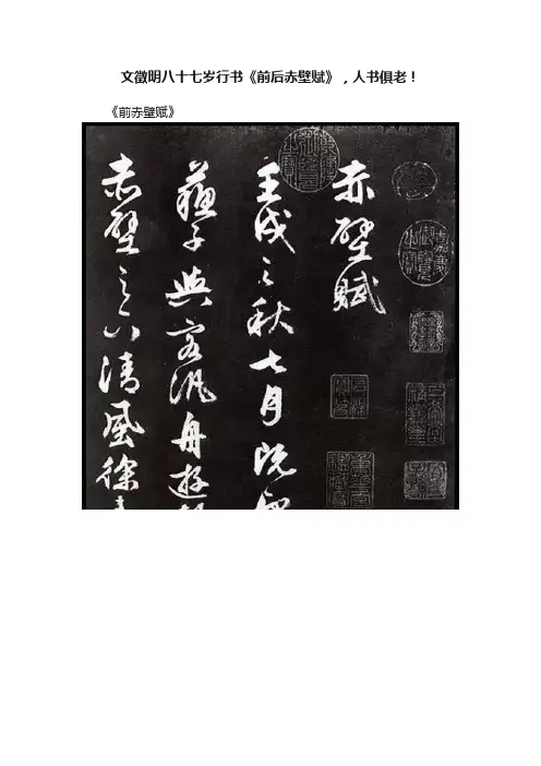 文徵明八十七岁行书《前后赤壁赋》，人书俱老！