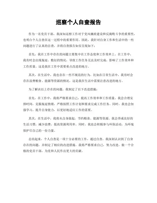 巡察个人自查报告