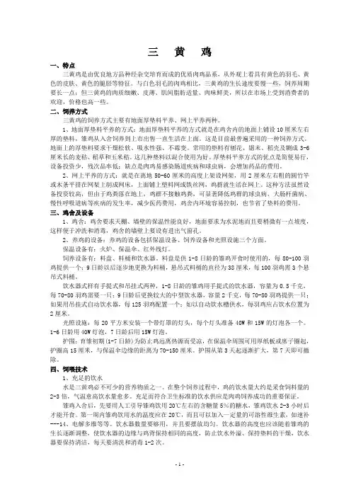 三黄鸡饲养