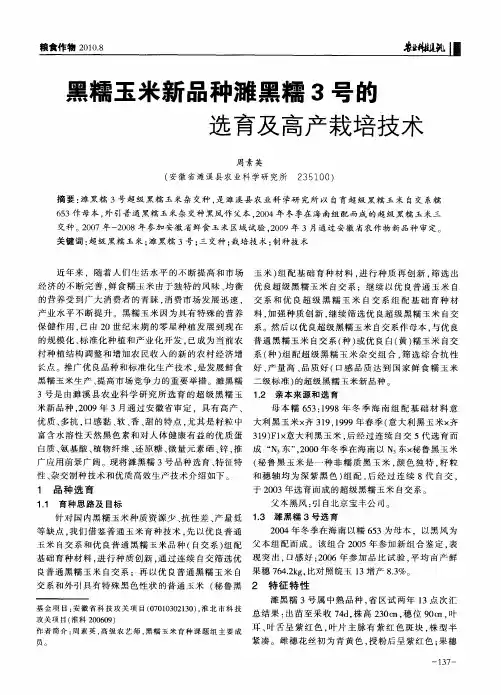 黑糯玉米新品种濉黑糯3号的选育及高产栽培技术