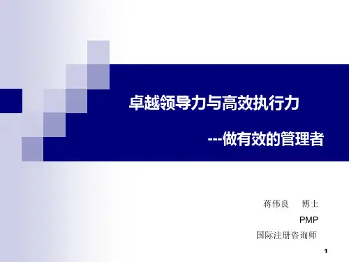 卓越领导力与高效执行力讲义.pptx