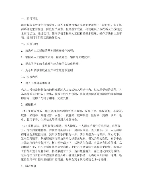 鸡人工授精技术实习报告