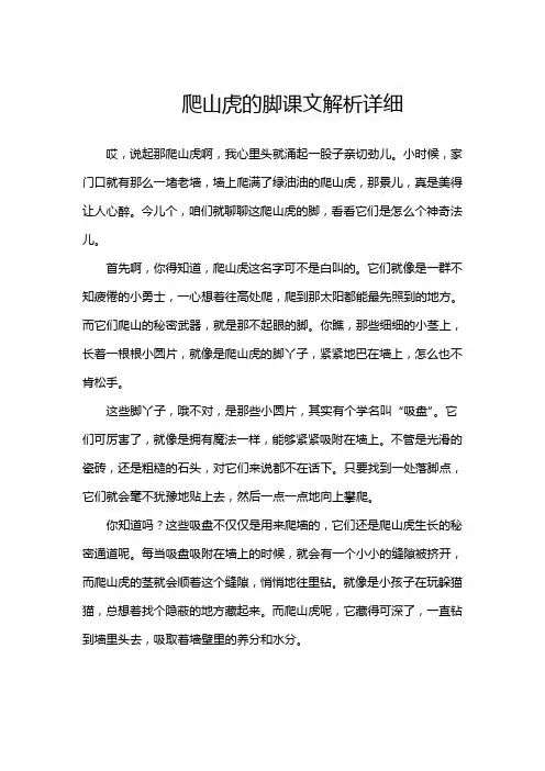 爬山虎的脚课文解析详细