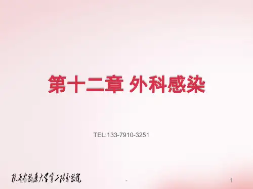 第十二章外科感染ppt课件