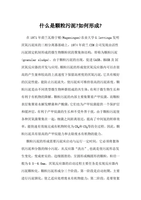 什么是颗粒污泥-如何形成