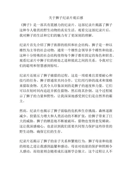 关于狮子纪录片观后感