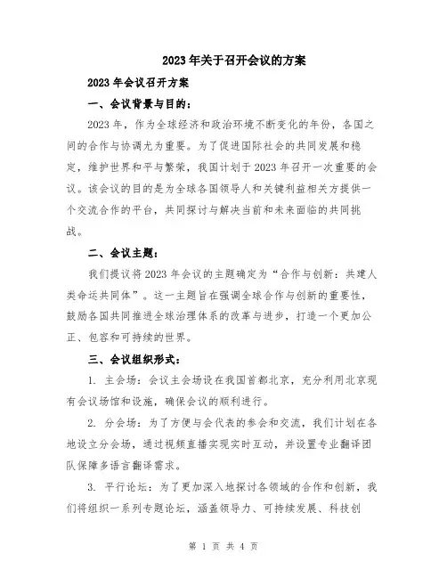 2023年关于召开会议的方案
