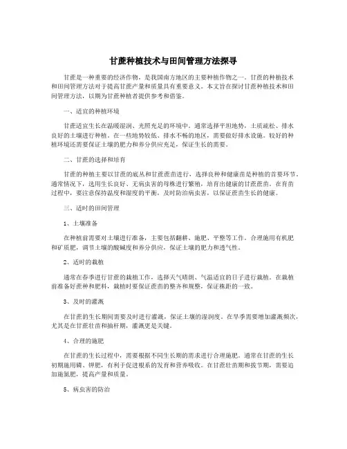 甘蔗种植技术与田间管理方法探寻