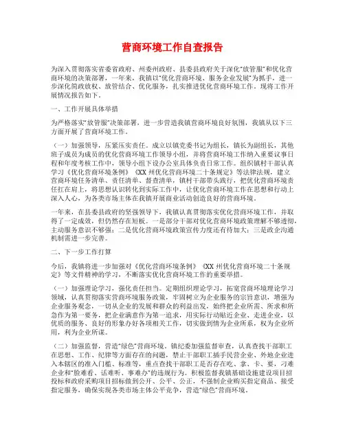营商环境工作自查报告