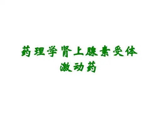 药理学肾上腺素受体激动药